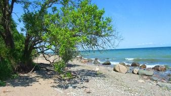 Landscape of calm baltic sea coast