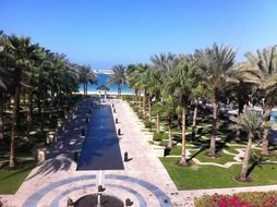 garden with palms in dubai hotel