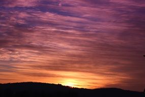 field in the dusk