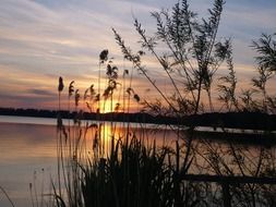 Picture of the sunset over the water