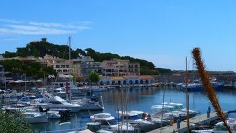 port yachts