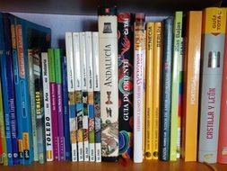 books about travel on a shelf