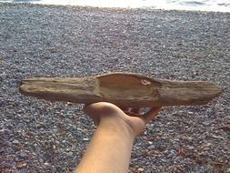 figured piece of wood in hand