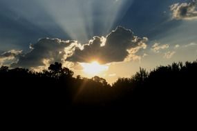 bright sunshine in the evening sky