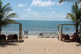 palm trees on a tropical beach in Porto Seguro