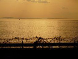 boat in the middle of lake constance at sunset background