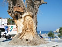 very beautiful olive tree face