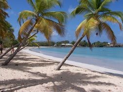 irresistible martinique caribbean beach