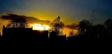 trees and house on the sunset background