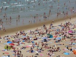 a lot of people are on the beach.