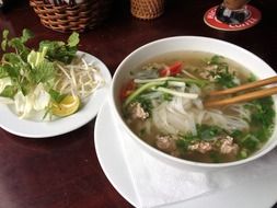 vietnamese food pho spoup