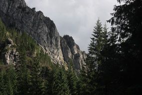 panorama of rocks in the Tatra mountains