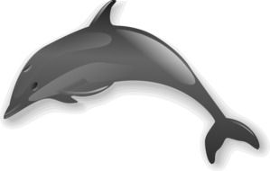 dolphin animal jump vector drawing