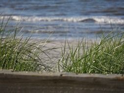 North sea beach in Ameland