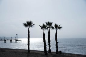 palms beach evening view