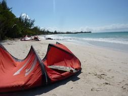 red kite on the beach in Jamaica