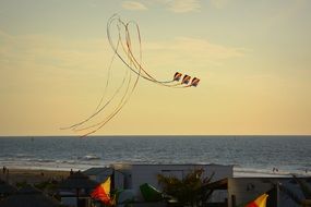 colored kites in the colorful sky on the beach