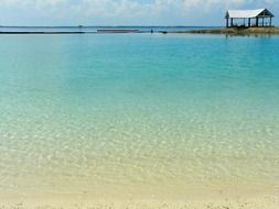 clear water on a tropical beach in the philippines