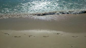 footprints on the wet sand of a sandy surf on a sunny day