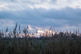 Evening Field clouds finland in sky