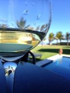 glass white wine