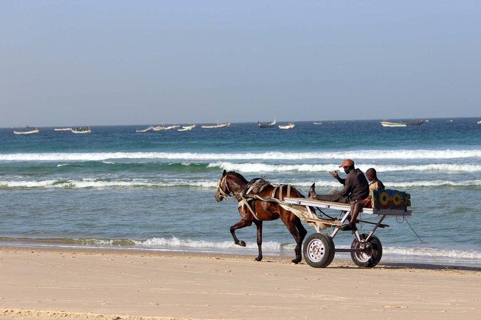 Horses on the beach in Senegal