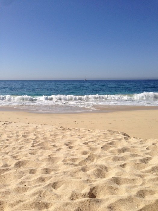 Sandy coastline of the sea