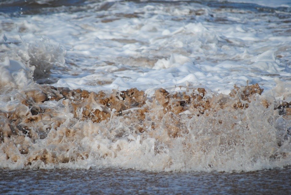 cold ocean waves on the coast