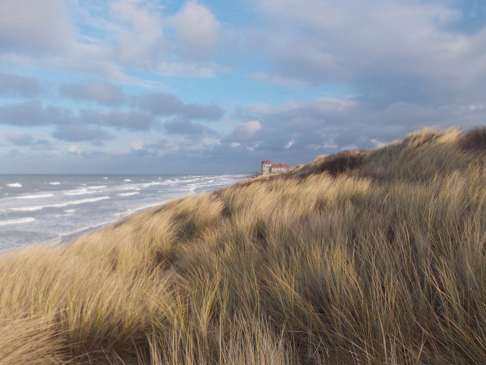 wonderful oyats beach