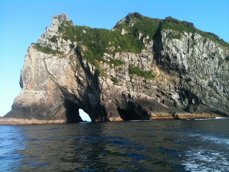 new zealand hole