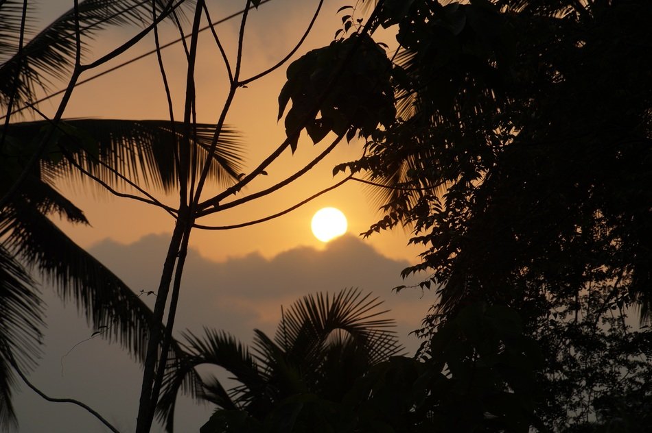 Landscape of trees at sunset in south india free image download