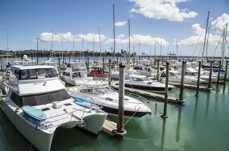 white yachts in port in Auckland, New Zealand