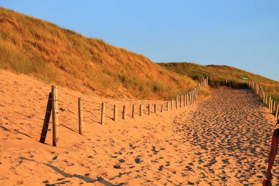 very beautiful dune