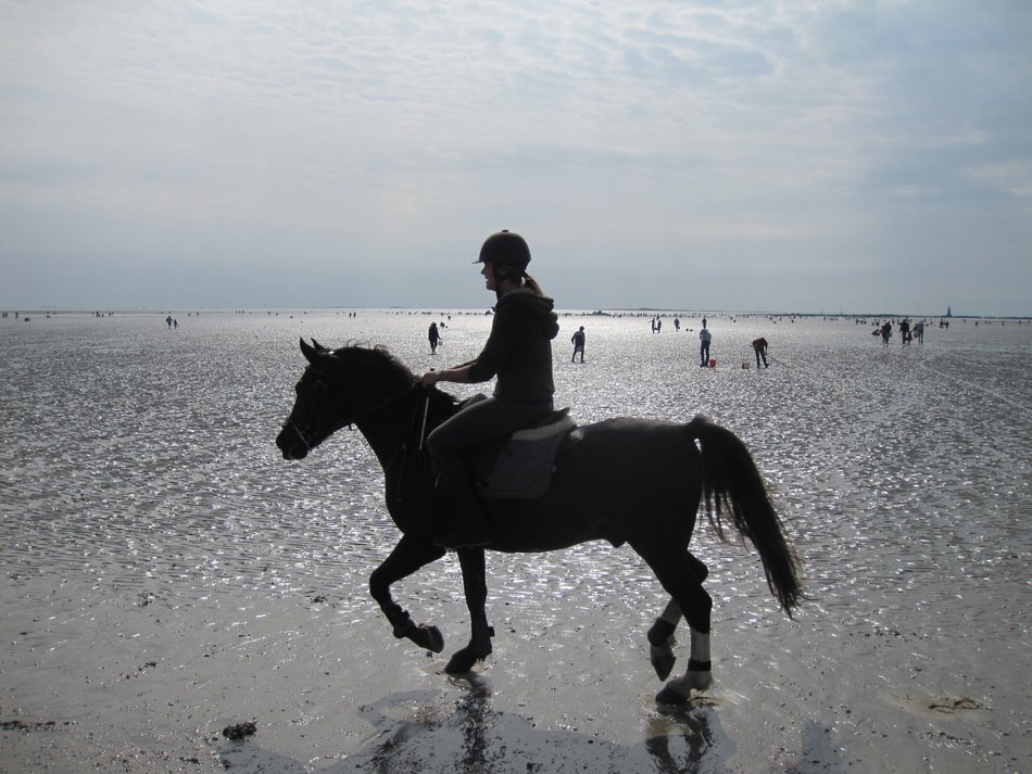 male horse raider on beach