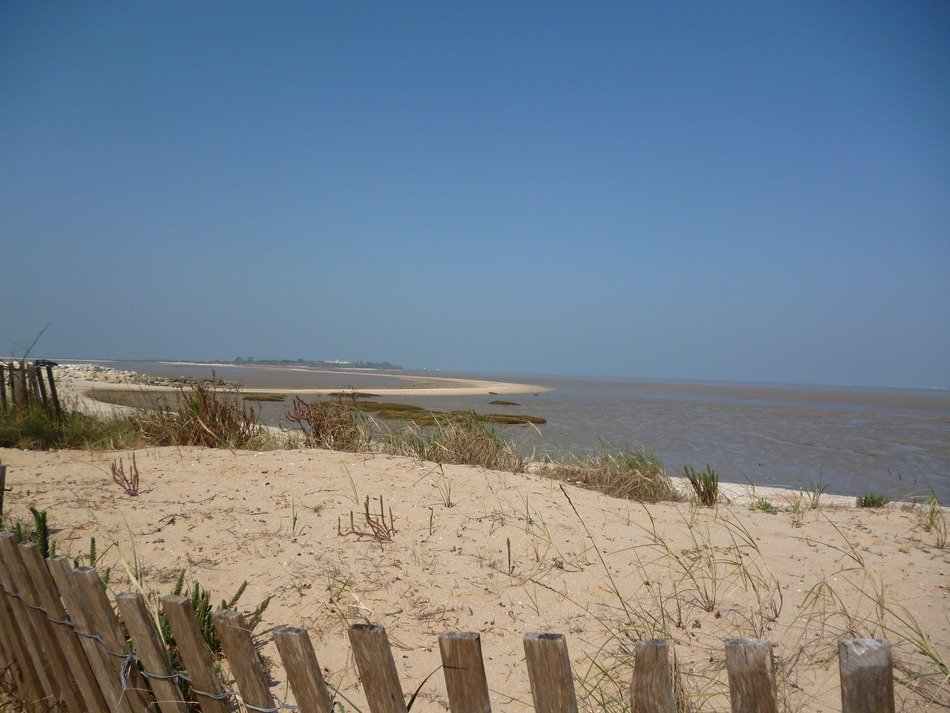 wooden fence among the sands on the ocean