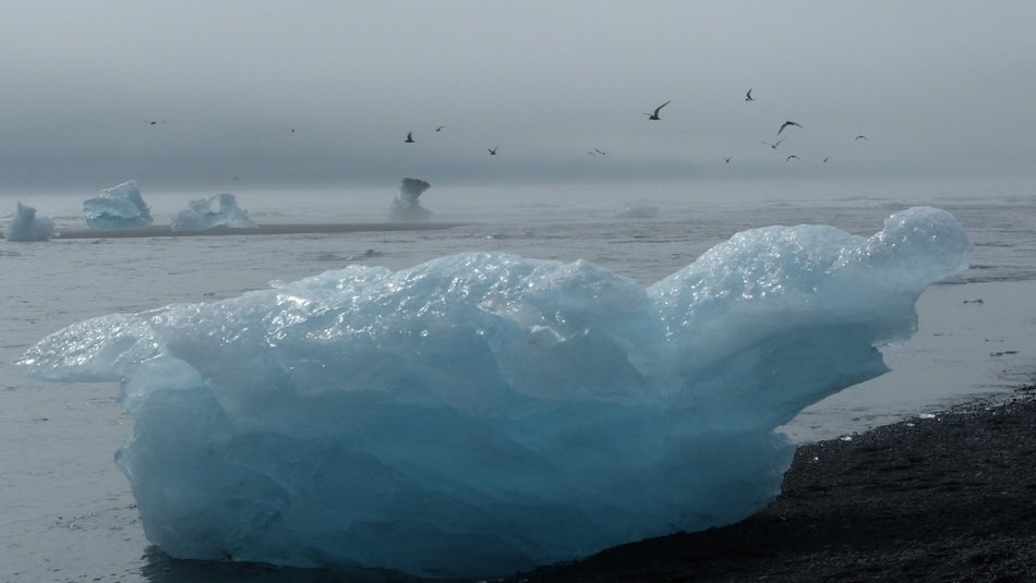 huge piece of ice on the ocea