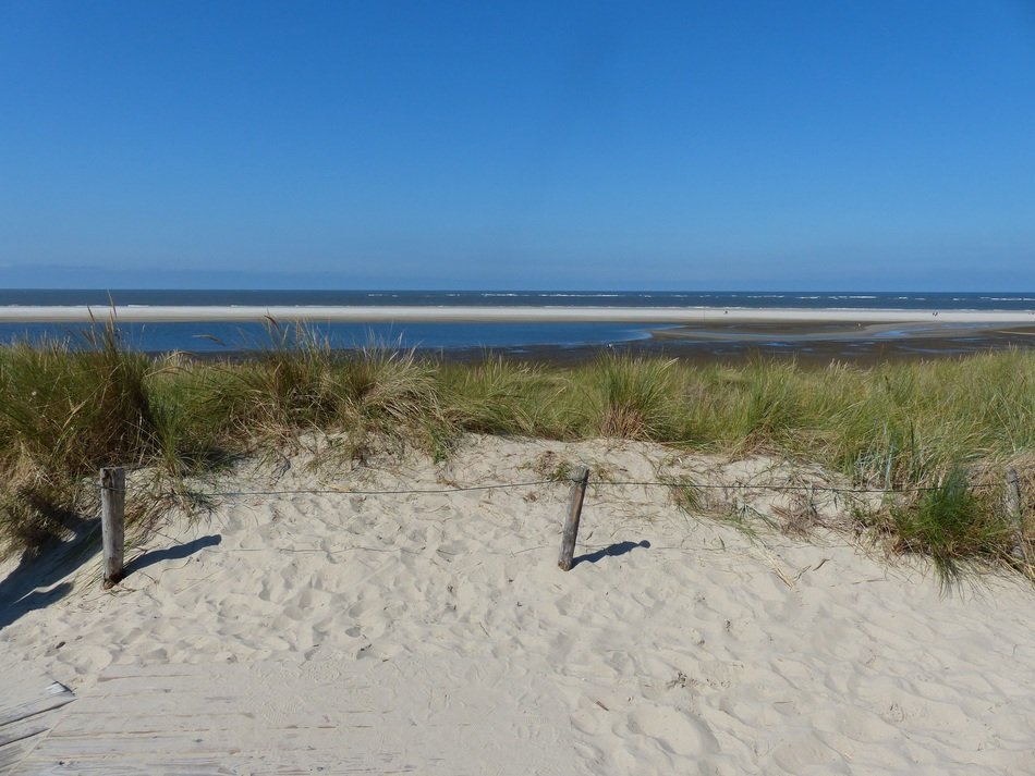 walk along the magnificent beach