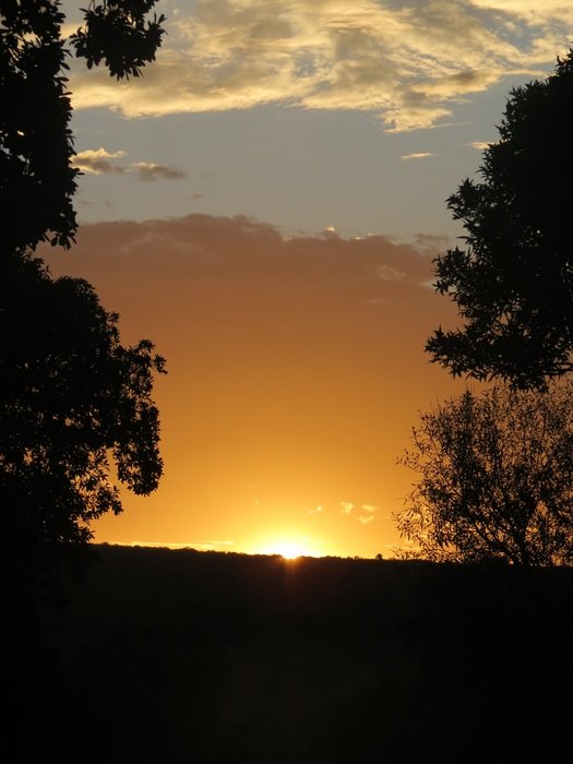 wonderful sunset silhouette