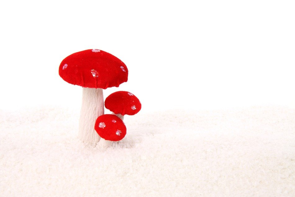 the artificial fly agaric