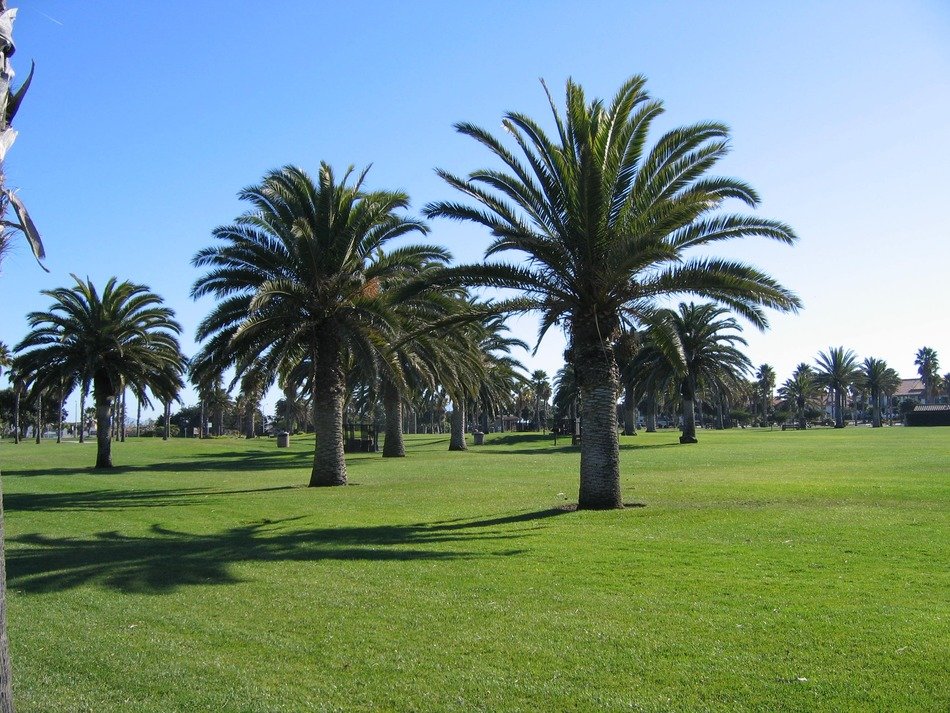 Oxnard Beach Park