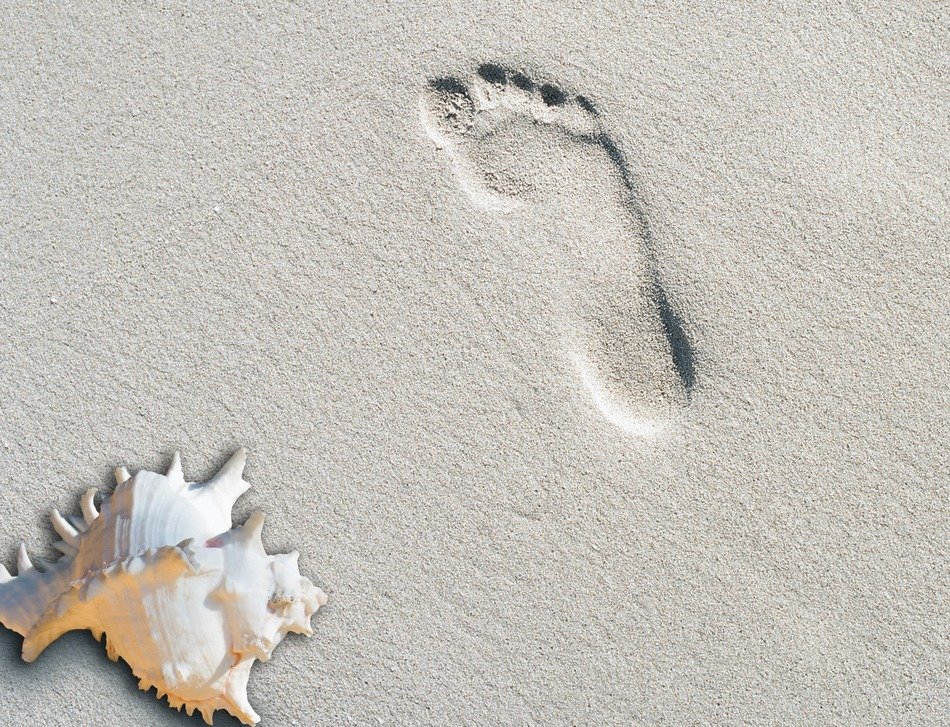 footprint and shell