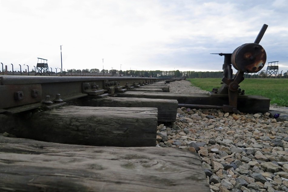 war camp tracks