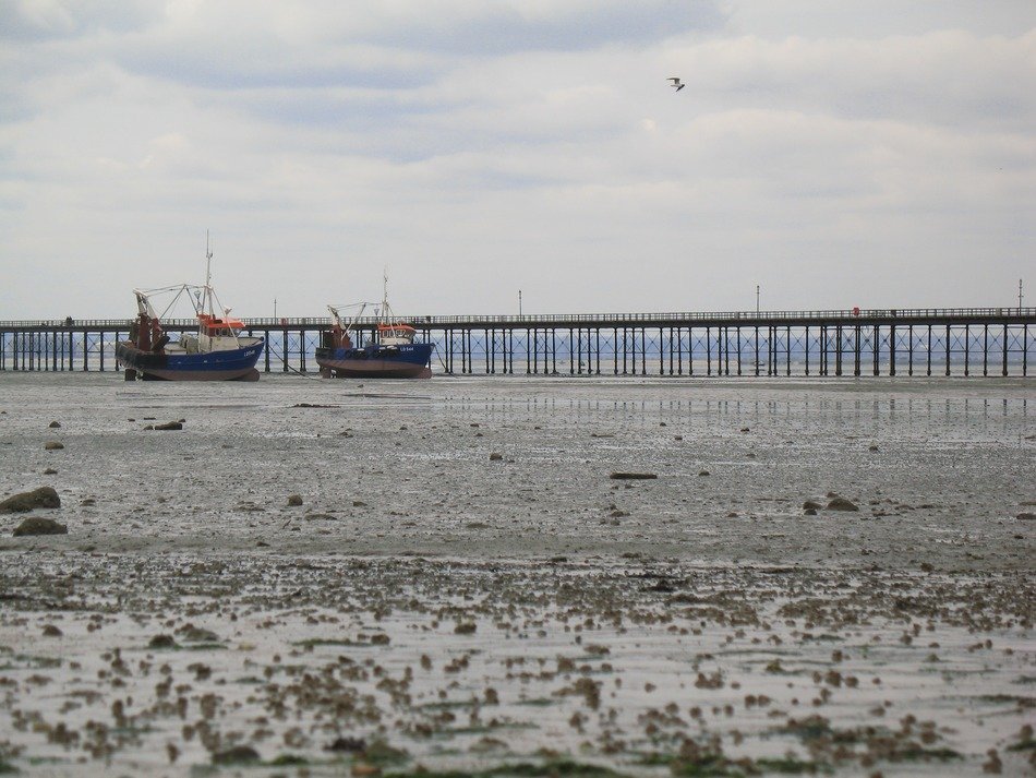 Beach in southend