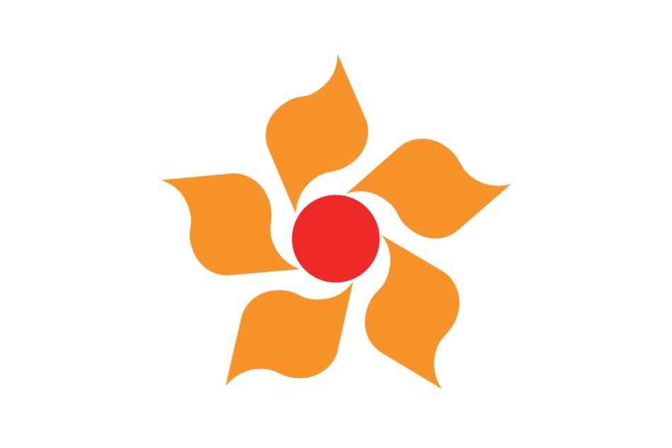 flag with the sun in the form of a flower