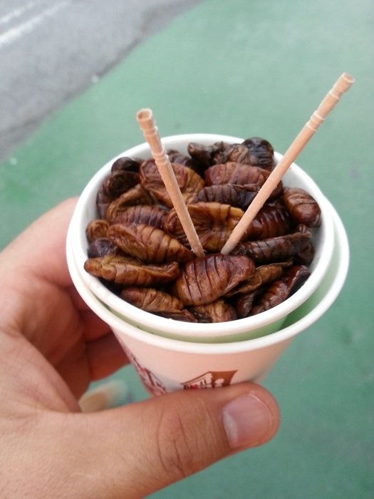silkworms in a glass