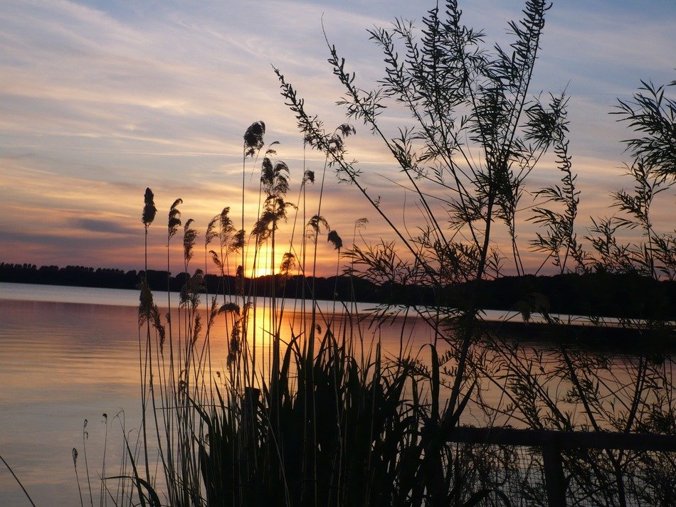 Picture of the sunset over the water
