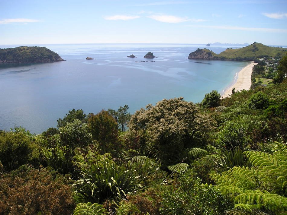 beautiful beach in new zealand