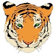 Tiger For Kids drawing