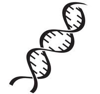 drawing of a genetic code on a white background
