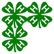 three green clover leafes